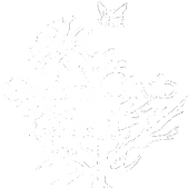 gcnrlogo_edited_edited_edited.png